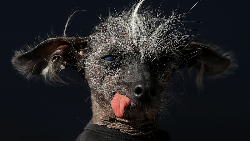 Photo: Getty Images
